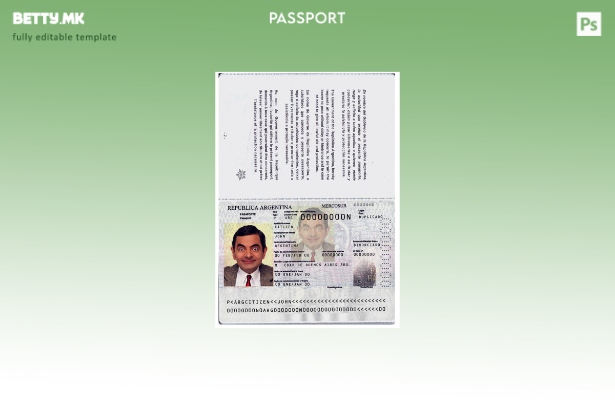 Модерен стил аргентински пасош сегашен шаблон